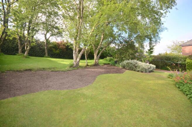 Rear Garden (2)