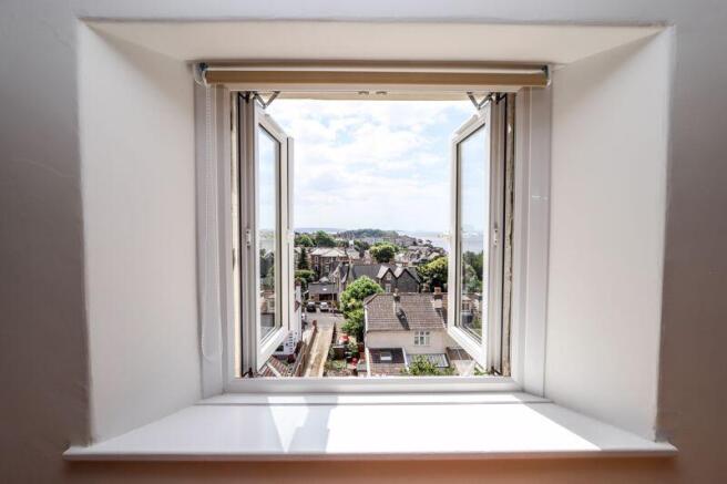 View from Window