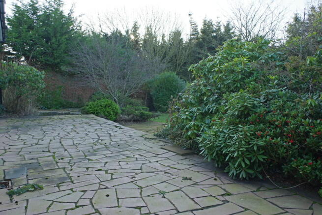 Photo 20