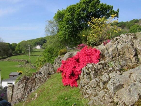 Garden in spring