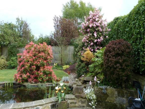 Image 14