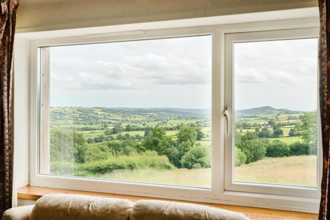 Barn View