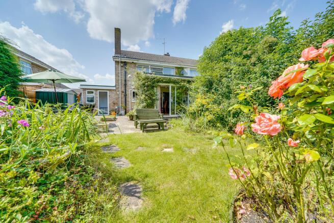 Back Garden