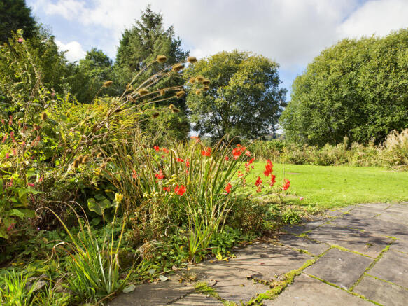 Photo 21