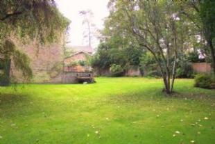Garden 1