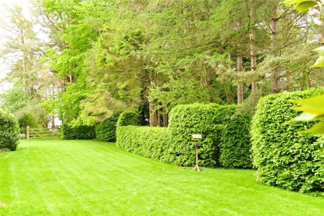 Side Garden