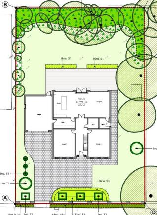 Landscaping Plan
