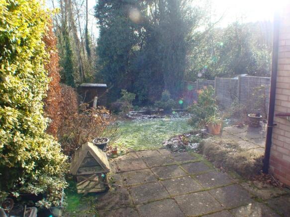 Photo 11