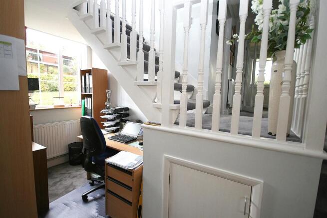 Study Area.