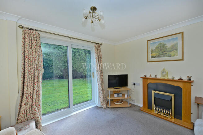 Living Room/Bedro...