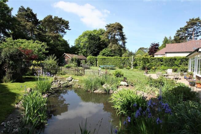 Pond and Rear Garden