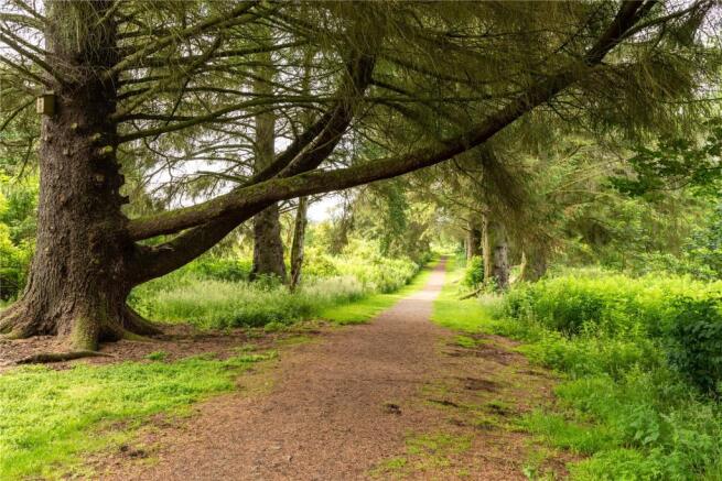 Woodland Walks