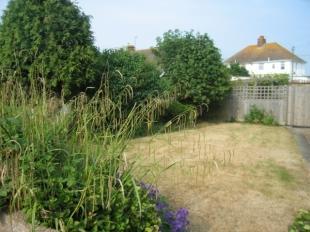 Side Garden