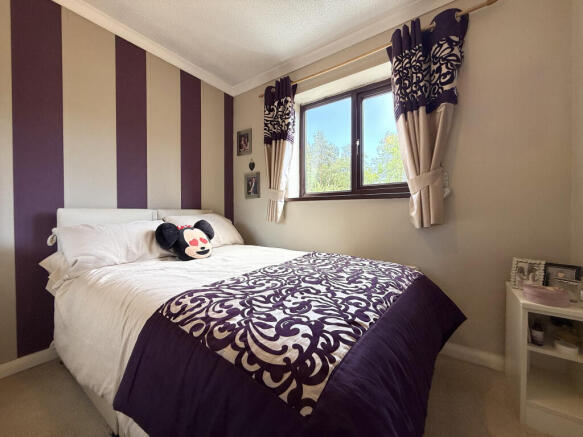 IMG_6562.jpeg