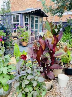 Photo from the owner