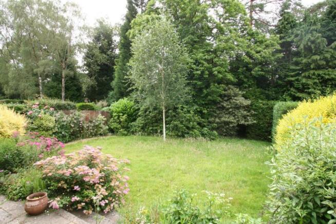 Rear garden