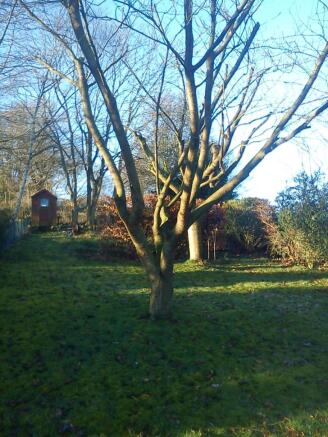 Garden to the rear of the property