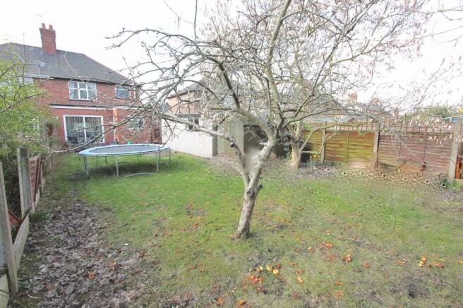 Garden at Back