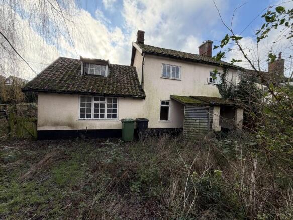 2  Medium  T202601271156.jpg