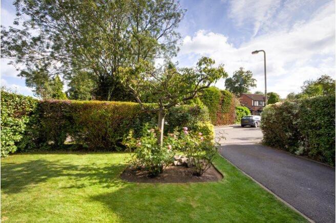 Front Garden