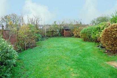 Garden Photo