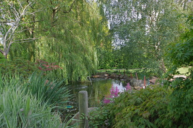 Photo 28