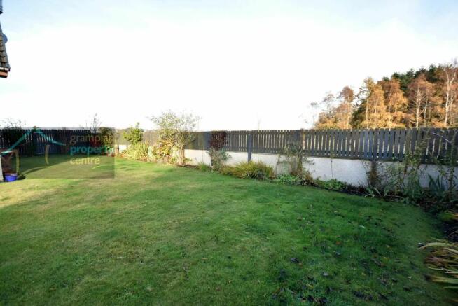 garden 2