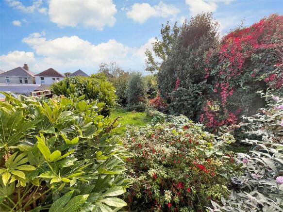 Rear Gardens