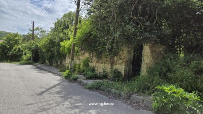 Stone wall covered with dense green plants and bushes along a paved road in the village.