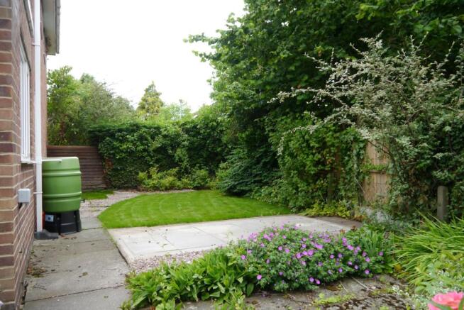 Photo 24