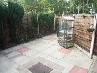 Main Image 3