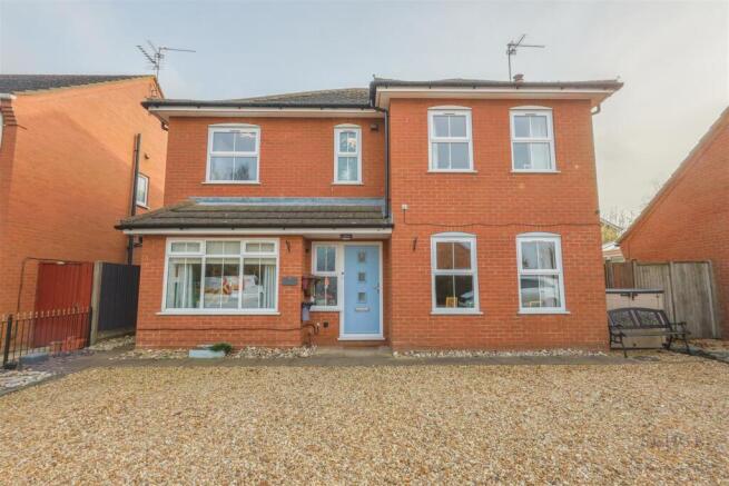 2 heron close-26.jpg