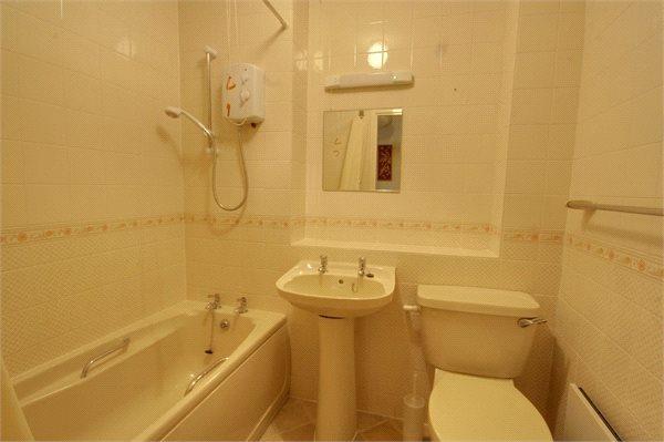 picture 5.jpg