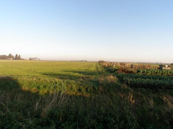 Panoramic Views