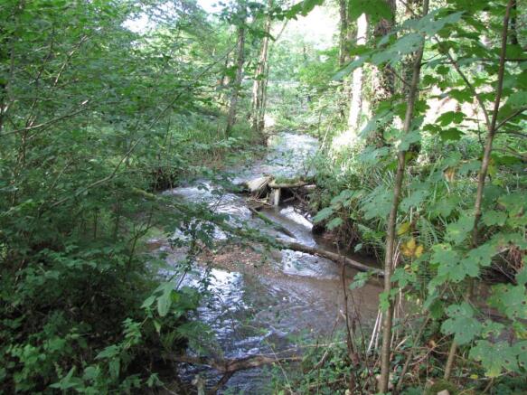 River.JPG