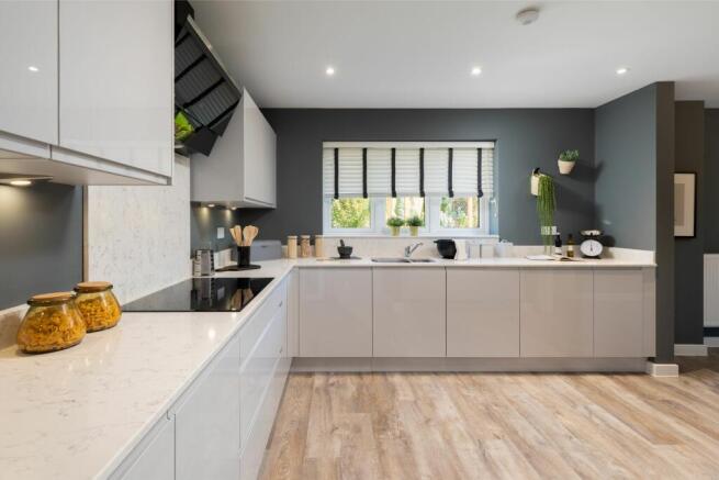 Showhome Photography