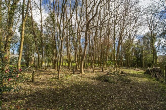 Woodland