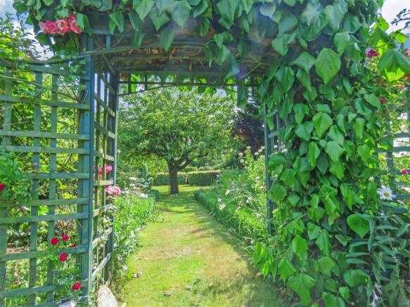 Garden 5.JPG