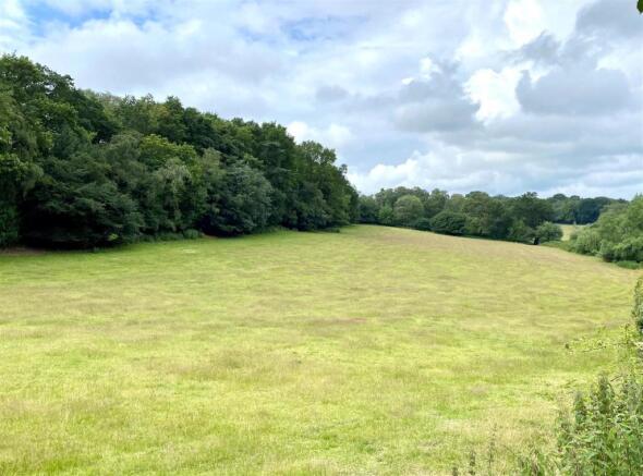 Backdrop of Fields.jpeg