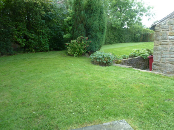 Picture 23