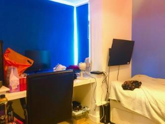 Study/play/bed 5