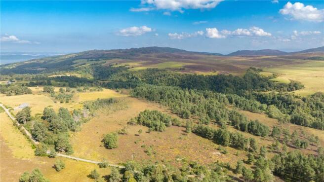 Picture No. 22