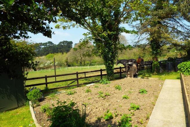 Vegetable Garden