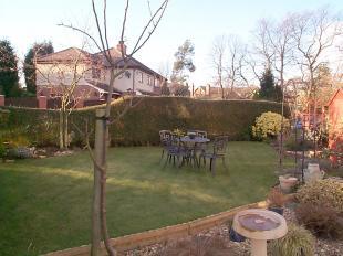 Rear garden