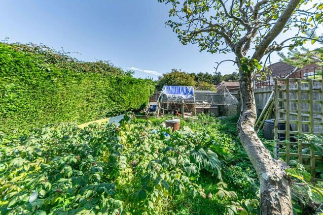 Vegetable garden