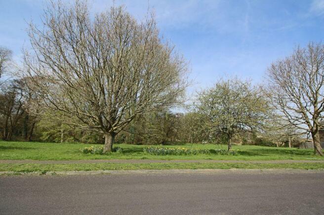View from front of property