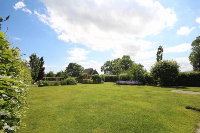 garden 1