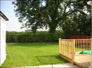Back garden