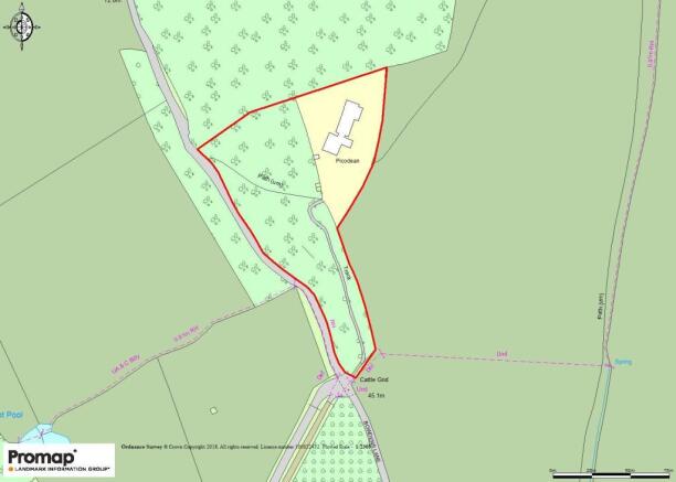 Promap Image.jpg