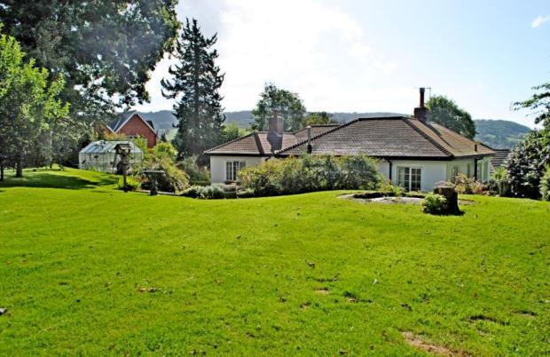 Rear Garden 3